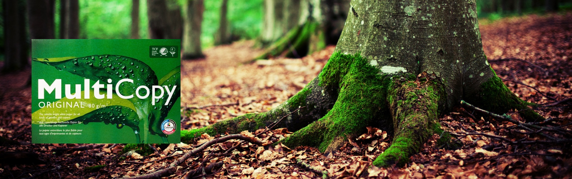 <p align="right">MultiCopy Paper</p>